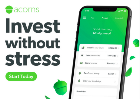 Acorns Visual
